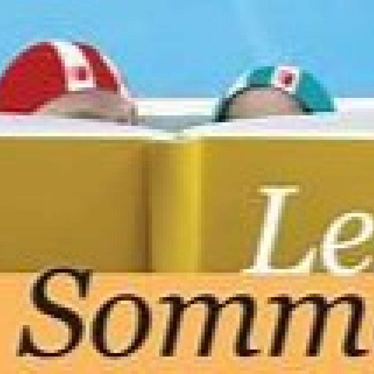 Lesesommer 2025